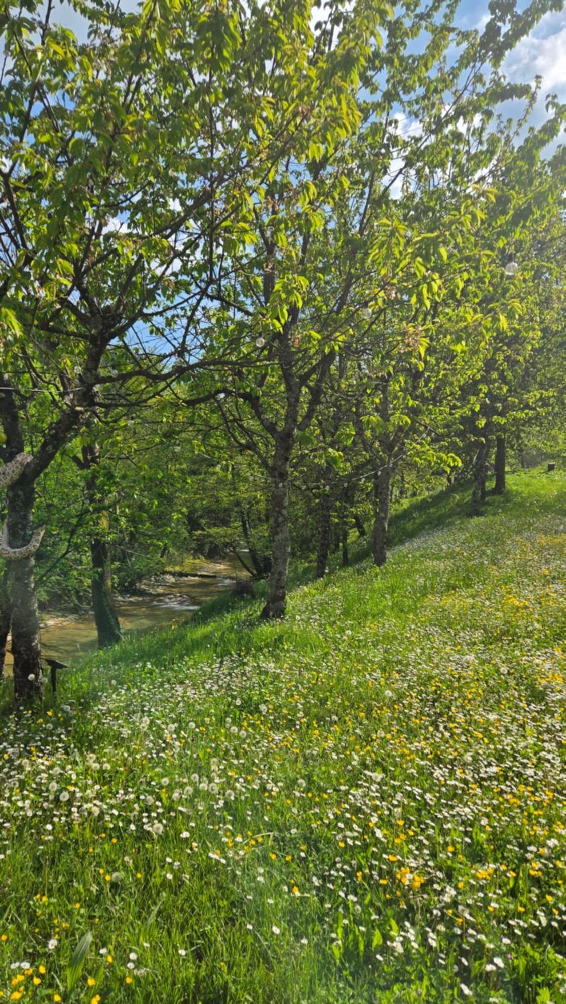 Borgo Corniola B&B Naturista Маради Екстериор снимка