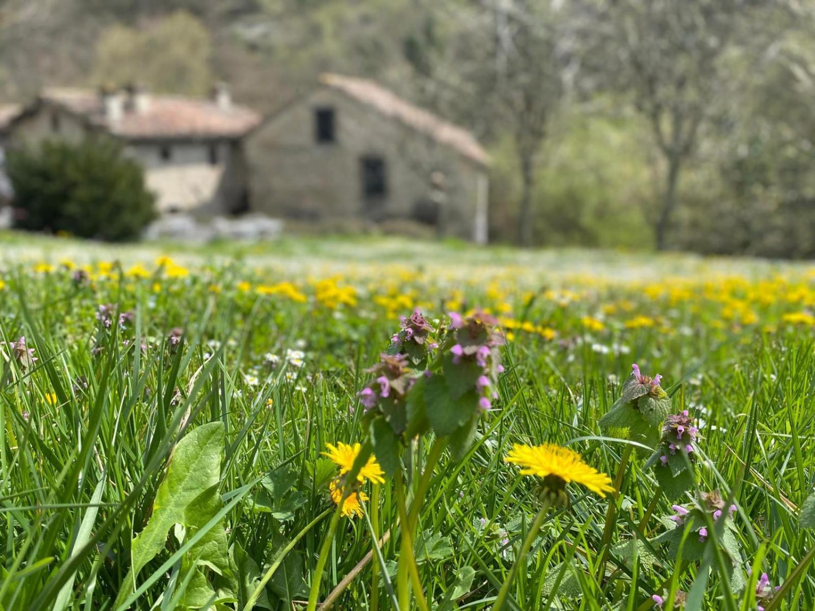 Borgo Corniola B&B Naturista Маради Екстериор снимка